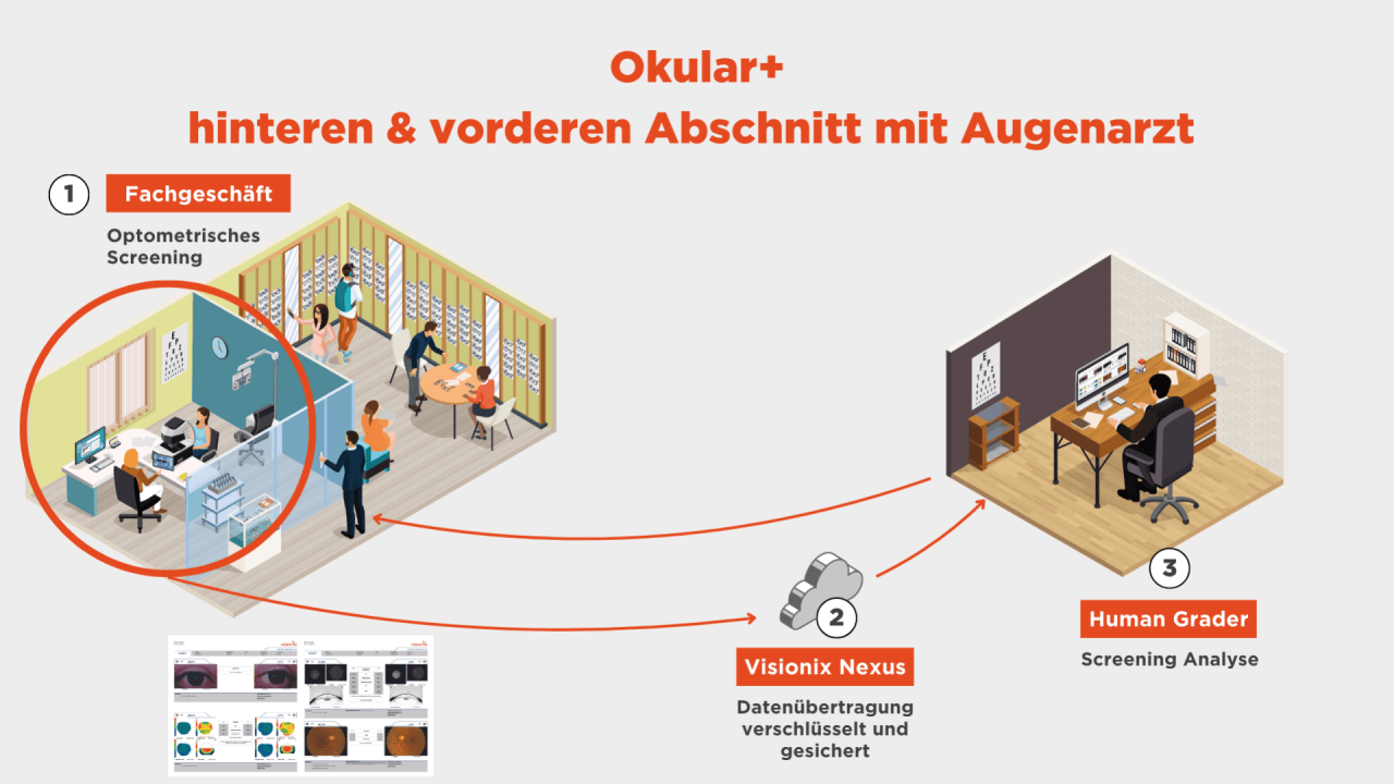 Okular+: vorderer & hinterer Augenabschnitt 