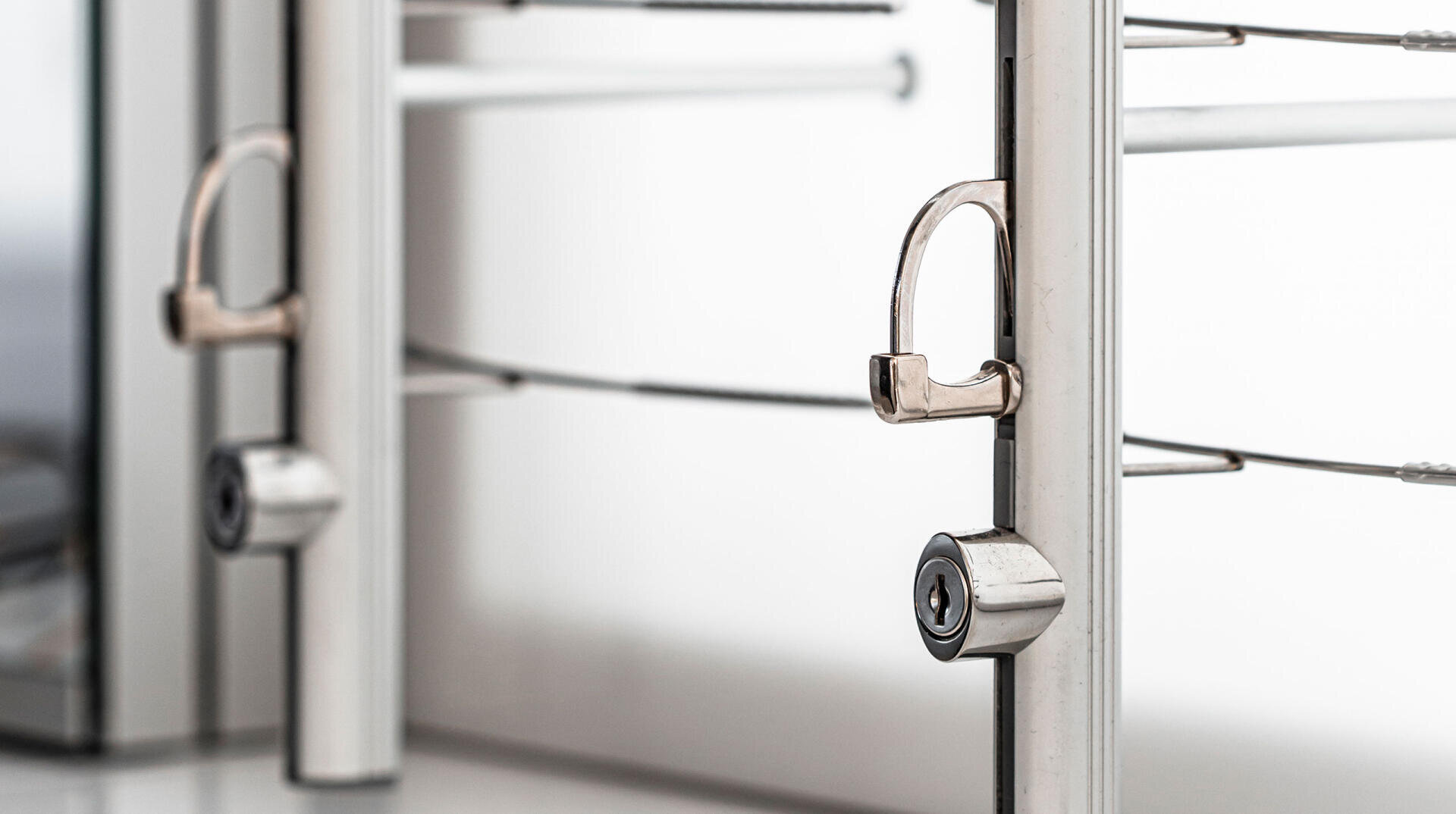 Close-up of two padlocks securing metal bars, likely part of a security gate or enclosure, with a blurred background.