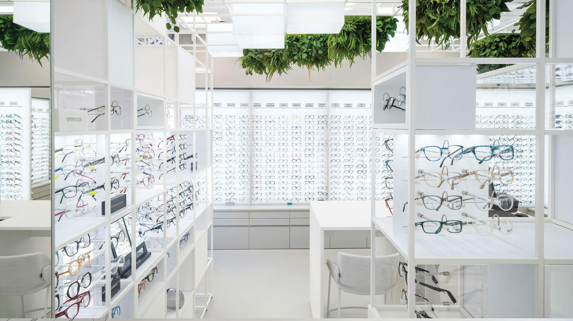 A modern, bright optical store interior with white shelves displaying various eyeglass frames, green plants hanging from the ceiling, and large windows letting in natural light.