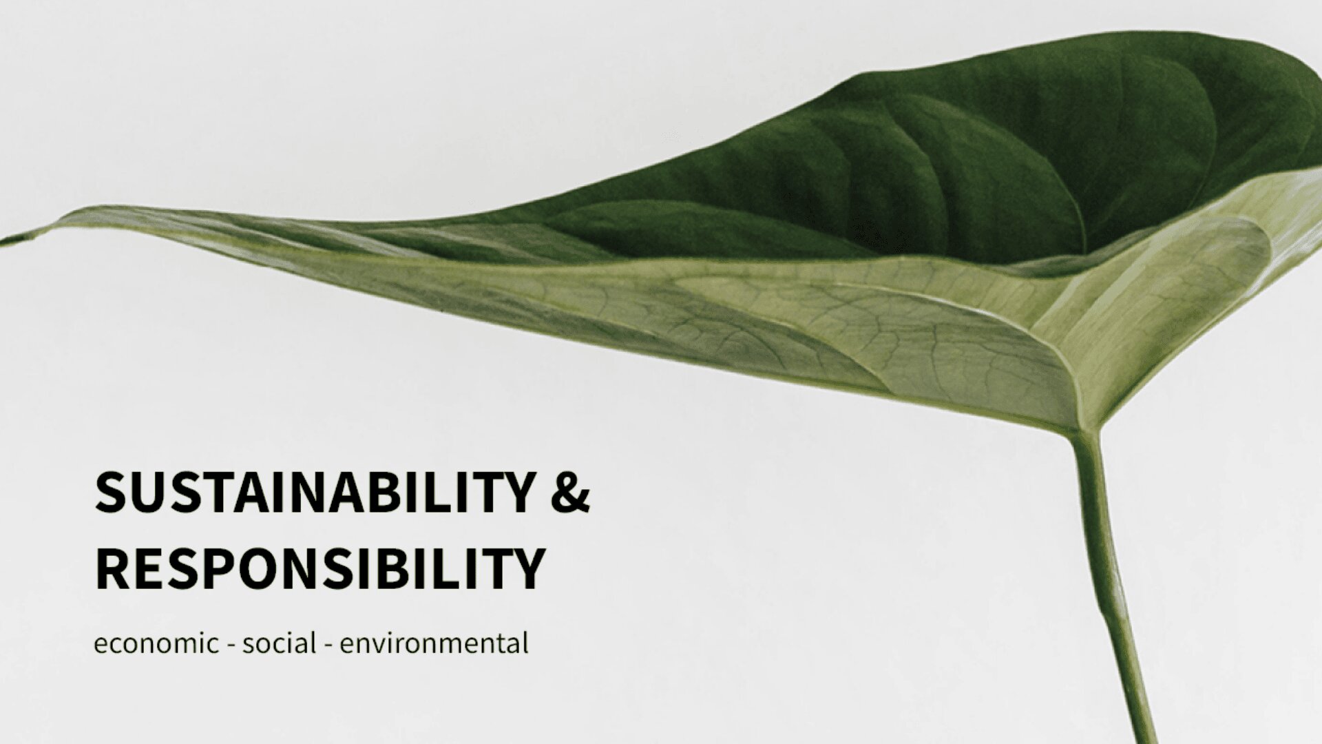 A large green leaf on a white background with the words Sustainability & Responsibility and economic • social • environmental written in black text.
