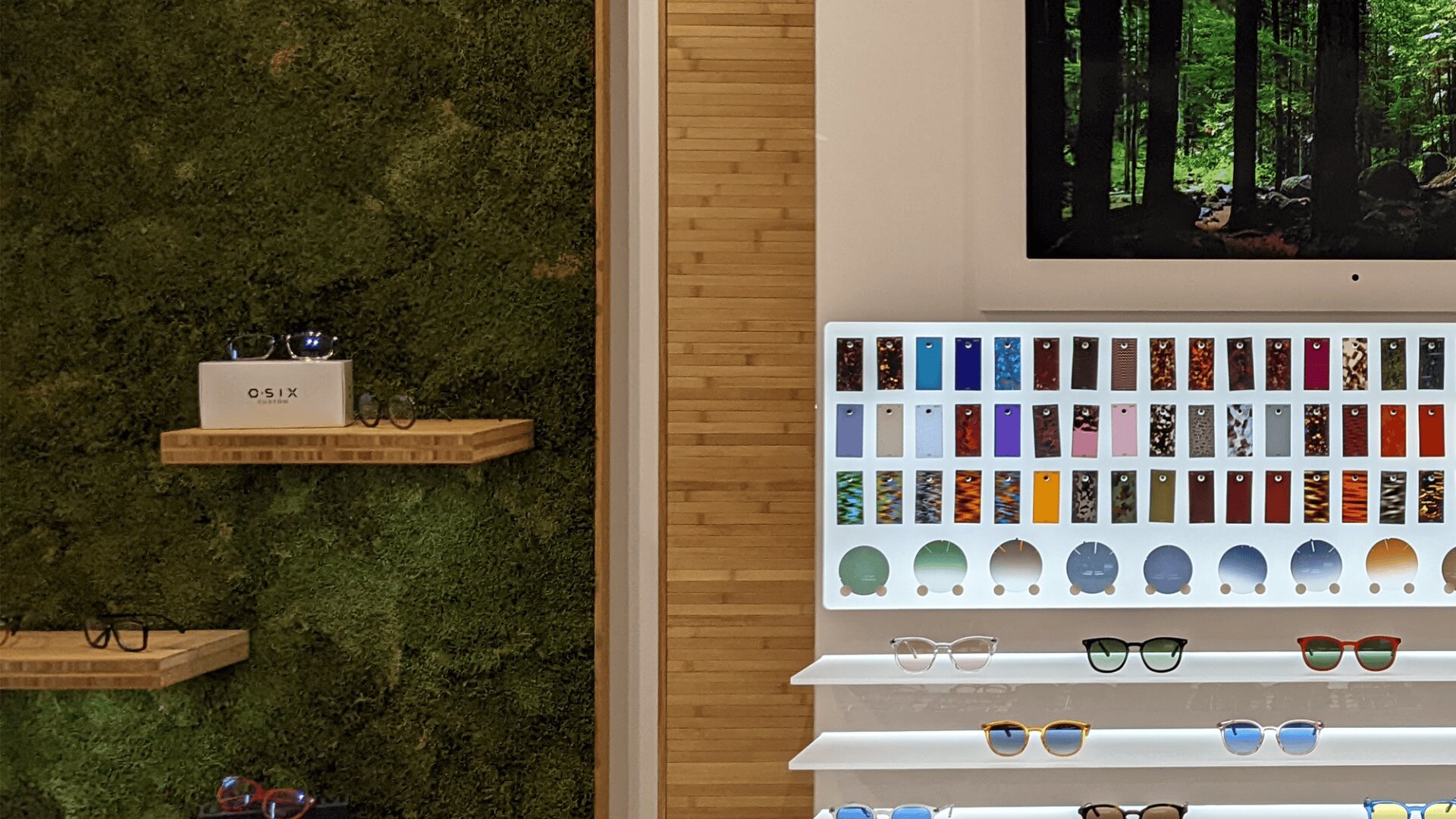 A display wall in an eyewear store with shelves holding various eyeglasses and sunglasses, a backlit panel showing different frame colors, and a moss-covered accent wall on the left.