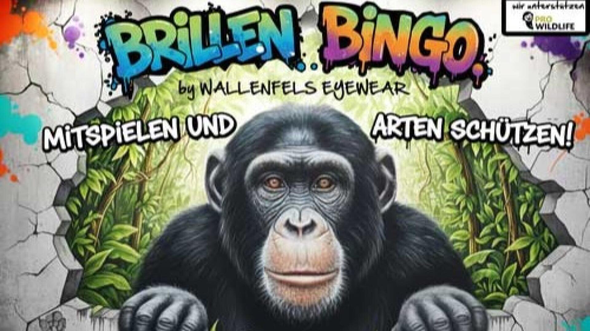 Ein farbenfrohes Wandgemälde zeigt einen Schimpansen, der von Blättern umgeben ist, mit dem Text Brillen Bingo im Graffiti-Stil über seinem Kopf und den Sätzen Mitspielen und Arten schützen! auf beiden Seiten.