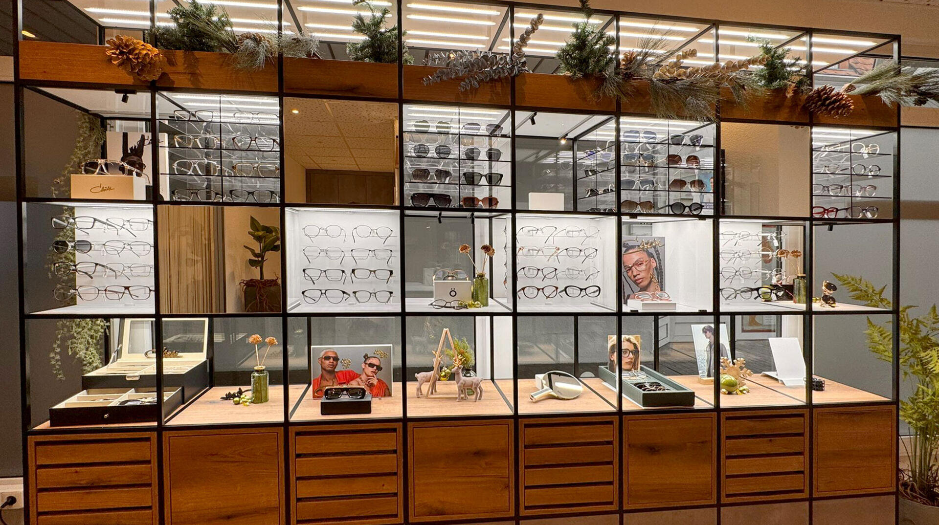 A display wall in an eyewear store featuring neatly arranged eyeglasses and sunglasses on glass shelves, with decorative plants and promotional photos placed among the frames.