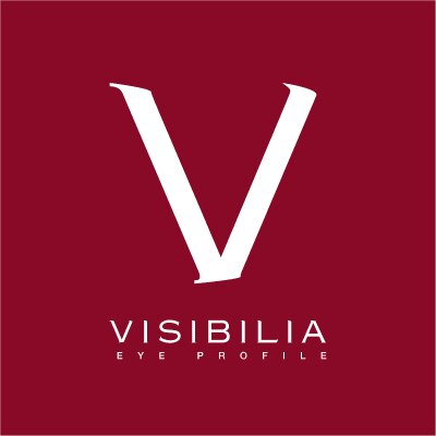Logo Visibilia GmbH